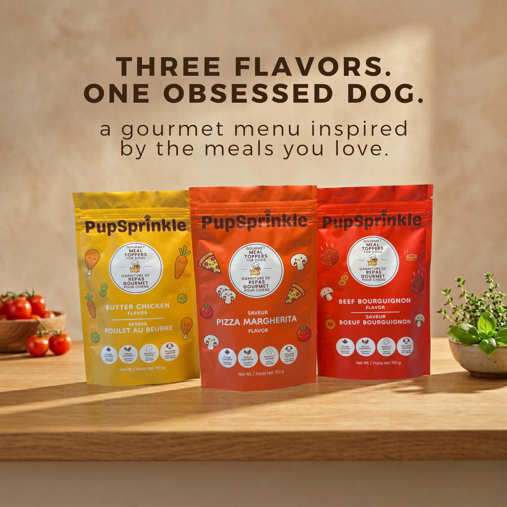 PupSprinkle-20.png__PID:2448e63e-a74e-4eb8-acc9-2d2056412b65