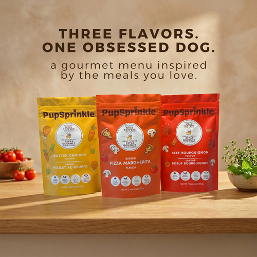 PupSprinkle-20.png__PID:2448e63e-a74e-4eb8-acc9-2d2056412b65